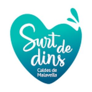 Surt de Dins
